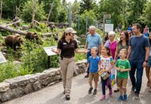 Affordable Ways to Plan a Memorable Child’s Celebration Birthday ideas in Calgary