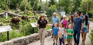 Affordable Ways to Plan a Memorable Child’s Celebration Birthday ideas in Calgary
